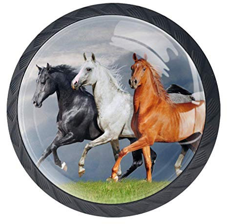 Pferd Grasland Braun Tier 4 Stück Kristallglas Möbelgriff Griffe Kleiderschrank Möbelknöpfe Schrank Schublade Knöpfe Türgriffe mit Schraube Beste Festival Geschenk für Kinder 3.5×2.8cm
