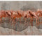 decomonkey - Papier Peint Panoramique Animaux 350x256 cm - Décoration murale moderne – Tapisserie décorative pour chambre salon - Texture flamants roses oiseaux abstraction