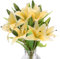 PATIKIL Lilie Falsche Blumen 6Stk Lilie Künstliche Blumen Künstliche Lilie Seide Gefälschte Blumen Vase Echte Note für Haus Dekor Mittelstück Tisch Ornamente Esszimmer Gelb