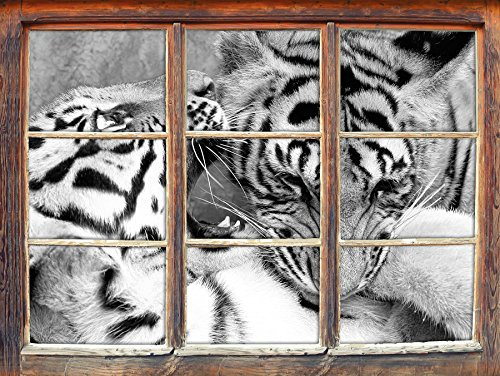 Stil.Zeit Zwei Junge Tiger beim Kämpfen Kunst B&W Fenster im 3D-Look, Wand- oder Türaufkleber Format: 92x62cm, Wandsticker, Wandtattoo, Wanddekoration