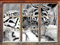 Stil.Zeit Zwei Junge Tiger beim Kämpfen Kunst B&W Fenster im 3D-Look, Wand- oder Türaufkleber Format: 92x62cm, Wandsticker, Wandtattoo, Wanddekoration