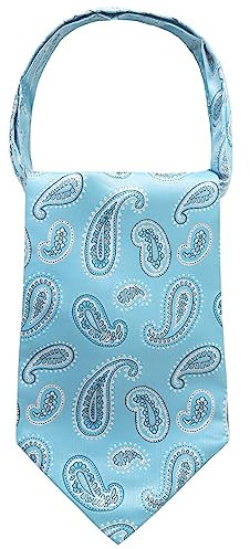 WANYING Herren Krawattenschal Ascotkrawatte Schal Cravat Ties Halstuch Classic Retro Schick für Gentleman - Paisley Muster Hellblau