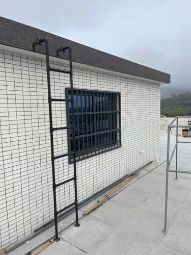 Extra Hohe Steigleiter Für Außendächer/ Innenräume/ 2-stöckige Häuser, 100cm - 250cm Hochbett-Leitern/ Rv Keller Fenster Brunnen Feuer Escape Leitern Regal Mit Eisenrohr-Stufen(Black,220cm(86 3/5in))