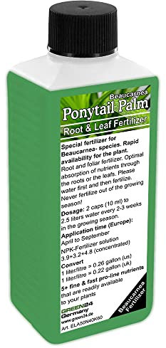GREEN24 Beaucarnea (Ponytail Palm, Elephant's Foot Tree) Liquid Fertilizer HighTech NPK, Root Soil Foliar Fertiliser - Prof. Plant Food