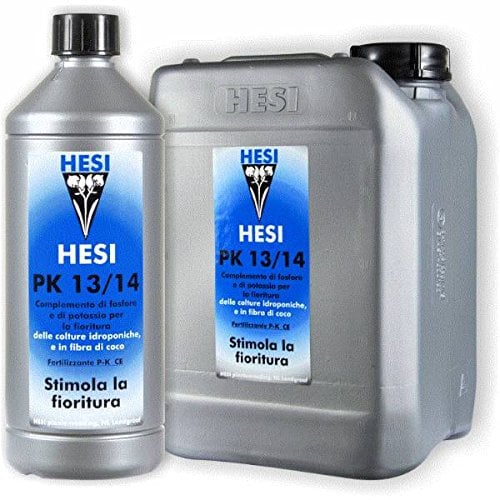Hesi 069818