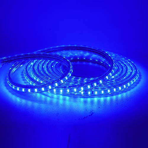 HEGEHE SMD 3014 LED Strip Light with Switch Power Cord, 220V Waterproof Kitchen Cabinet Ceiling Home Garden Deck Rope Light Blue (1 Meter)