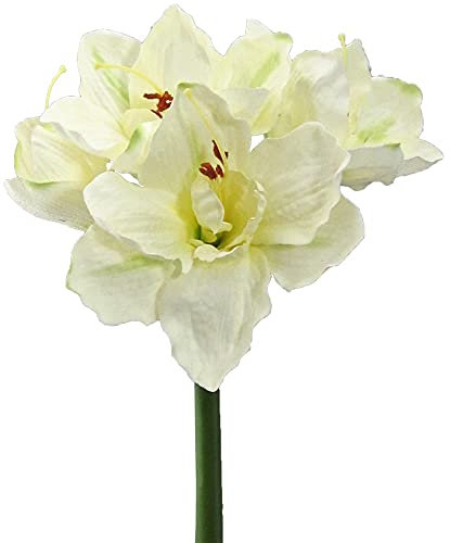 matches21 Amaryllis Kunstblume Kunstpflanze Dekopflanze Kunststoff 3 Blüten & 1 Knospe Ø ca. 18 cm 1 STK - cremeweiß