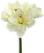 matches21 Amaryllis Kunstblume Kunstpflanze Dekopflanze Kunststoff 3 Blüten & 1 Knospe Ø ca. 18 cm 1 STK - cremeweiß