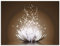 ARTland Wanddeko Wandbild Alu Verbundplatte für Innen & Outdoor Bild 60x45 cm Asien Botanik Blumen Blüten Lotusblume Seerose Modern braun T3ZX