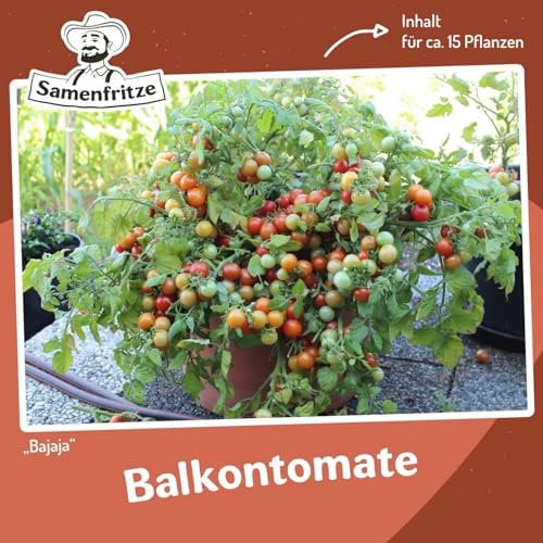 Bajaja Tomatensamen für ca. 15 Pflanzen - pflegeleichte Sorte, Massenertrag