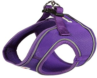 Doodlebone Snappy Geschirr, Violett, 1