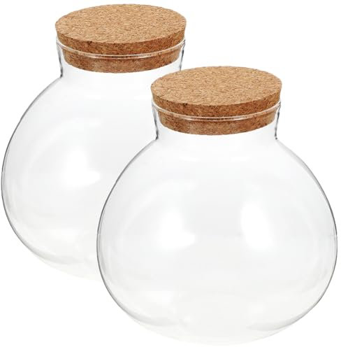 Cabilock Vase Glasflasche Flasche Mit Mikrolandschaft 2 Stücke Glas Kugel Blumen Hydrokultur Blumentopf Tisch Pflanzgefäß n Terrarium Tischdeko Moss Klar Mit Korken Bonbonschale