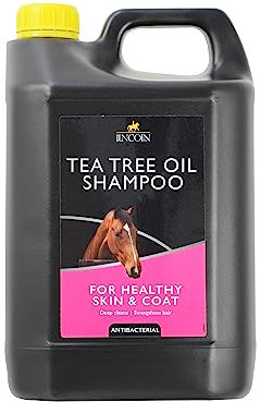 Lincoln Tea Tree Oil Shampoo - 4 litre