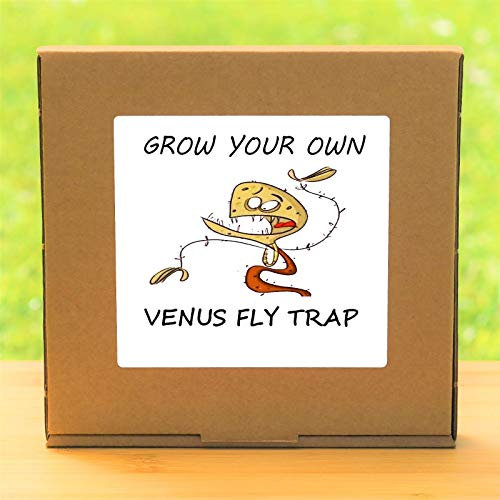 Portal Cool W Your Own Flch Eating Venus Fly Trap Plant Kit - Windowsill Garden Gift