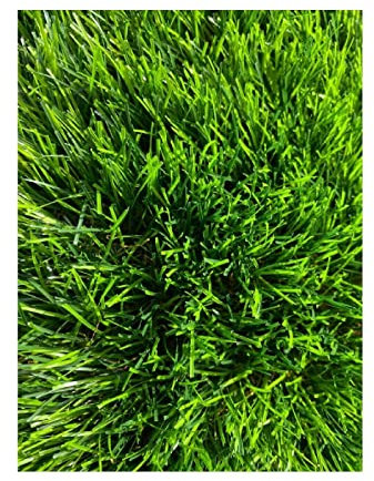 Tapis de gazon artificiel vert fibre synthétique terrasse balcon extérieur 2 m 50 mm