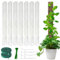 XPJBKC Moosstab für Monstera Rankhilfe, 7 Stück 61cm Pflanzenstab Plastik Moss Pole, Rankhilfe Zimmerpflanzen mit 7 Erdspieße, 2 Nylonbänder, Moosstab Rankstab Pflanzenstütze für Monstera