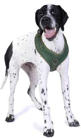 DOOG – Neoflex Hunde-Softgeschirr – Grün – Schnelltrocknend, wasserfreundlich und verstellbar für optimalen Sitz – Ideal für Strandspaziergänge und aktive Hunde im Freien – Größe S