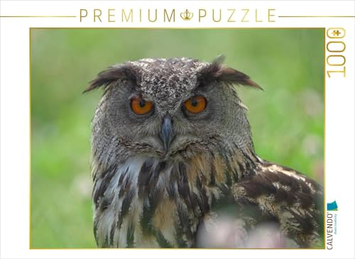 CALVENDO Puzzle Uhu | 1000 Teile Lege-Größe 64 x 48 cm Foto-Puzzle für glückliche Stunden