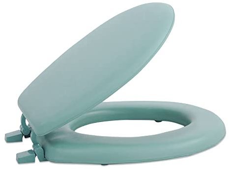 Achim Home Furnishings TOVYSTLG04 17-Inch Fantasia Standard Toilet Seat, Soft Light Green