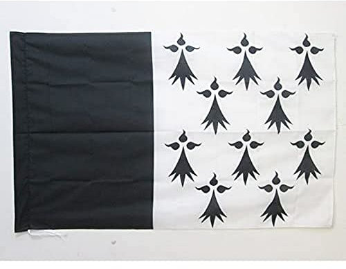AZ FLAG - Flagge Pays Rennais - 150x90 cm - Rennes Fahne 90 x 150 Cm Scheide Für Mast - Flaggen
