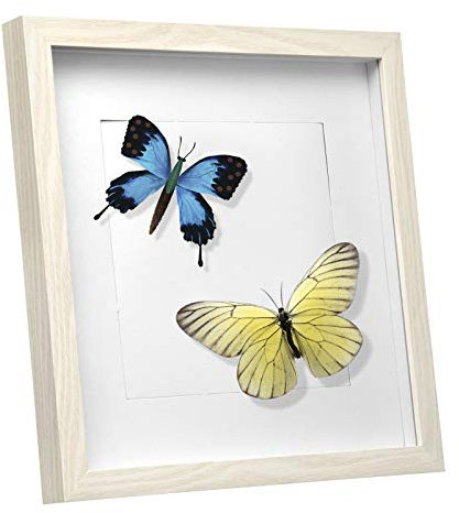 EUGAD 3D Bilderrahmen zum Befüllen, Objektrahmen 20x20 cm, tiefer Rahmen für Objekte bis 1,5 cm, Holzrahmen Collage mit Papier-Passepartout, Eiche