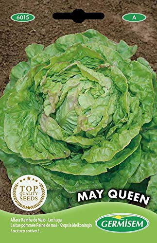 Germisem May Queen Semillas de Lechuga 5 g