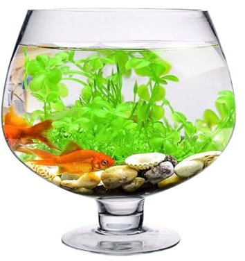 FAJNUZI2024 Pecera Pecera pequeña de Cristal Transparente Grueso, Acuario, Sala de Estar, Tanque de Tortuga de Escritorio, diseño Creativo de Modelado de Copa Acuario(27cmx19.5cm)