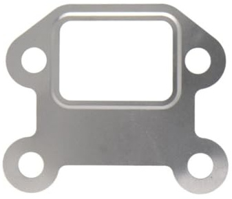 Elring 381.420 EGR Valves