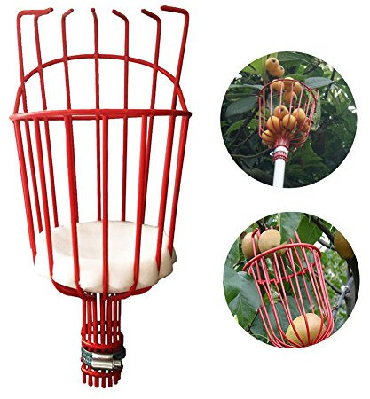 GEZICHTA - Palo para Recoger Frutas o Frutas, con Cesta, picadora de Frutas con Barra telescópica de Aluminio Ligero, Equipo para Picar Frutas, Naranjas, Manzanas o Cualquier Tipo de Fruta