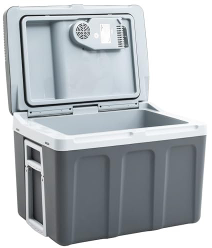 vidaXL Thermoelektrische Kühlbox Mobil Auto Camping Kühlboxen Elektrisch Mini Kühlschrank Klein Warmhaltebox 40 L 12V 230V Energieklasse E