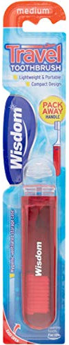 Wisdom Travel Toothbrush