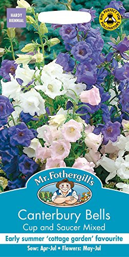 Mr Fothergills - Pictorial Packet - Flower - Canterbury Bells - Cup & Saucer Mix - 650 Seeds