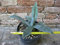 Agave americana var. Amerikaanse 30 cm, cactus, winterharde vetplant, resistent tot -5 ° C