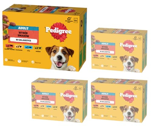 Pedigree Adult in Gelee im Multipack 4X 12x100g Hundefutter