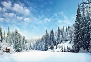 Renaiss 3x2.5m Winter Szene Hintergrund Schnee Wunderland Kiefer Wald Fotografie Hintergrund Hauptdekorationen Outdoor Kinder Erwachsene Porträt Weihnachtsfeier Banner Tapete Fotostudio Requisiten