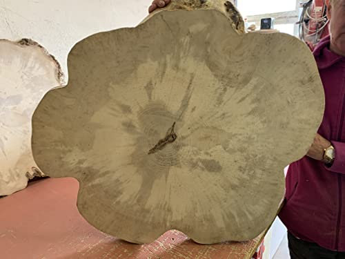 Baumscheibe, Holzscheibe,Tischplatte, ca. 70x5cm geschliffen Couchtisch