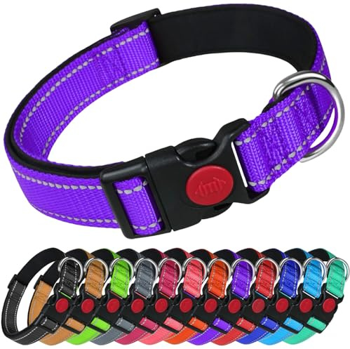 LARRYROO Reflective Dog Nylon Collar | Slide Lock Safety Buckle | Fully Adjustable | Soft Neoprene Padding (Purple, Large (40cm - 60cm Neck))