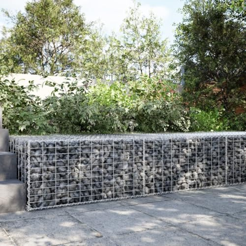 Générique Panier Gabion avec Couvercle 200x100x50 cm Fer galvanisé,Jardinage, Pots & Cache-Pots,3295179