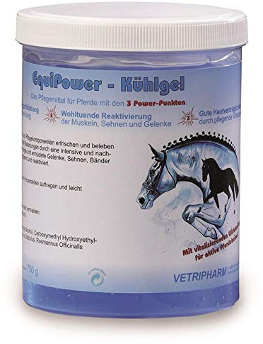 Equipower Kühlgel 750 g