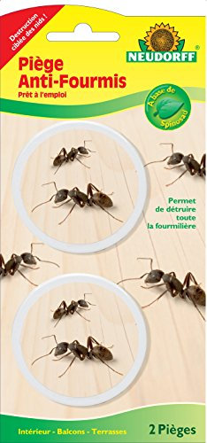 Neudorff Piège Anti-Fourmis prêt à l'emploi, 2 Pièges – Élimination des Fourmis, Anti-Fourmi Boite appât, Piège à Fourmis écologique, Anti-Fourmis Interieur et Exterieur, Anti-Fourmis Maison