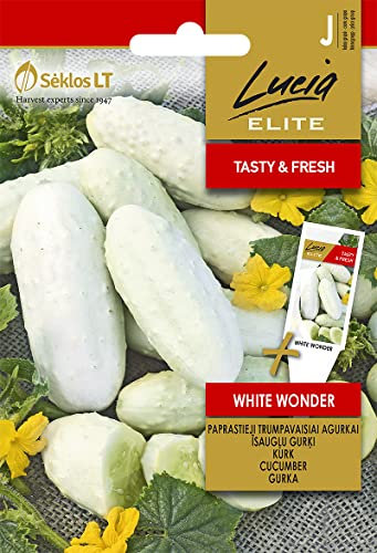 Lucia Elite | SEMILLAS DE NABO GOLDANA | Semillas de hortalizas | Semillas de plantas | Semillas de jardín | 1 paquete
