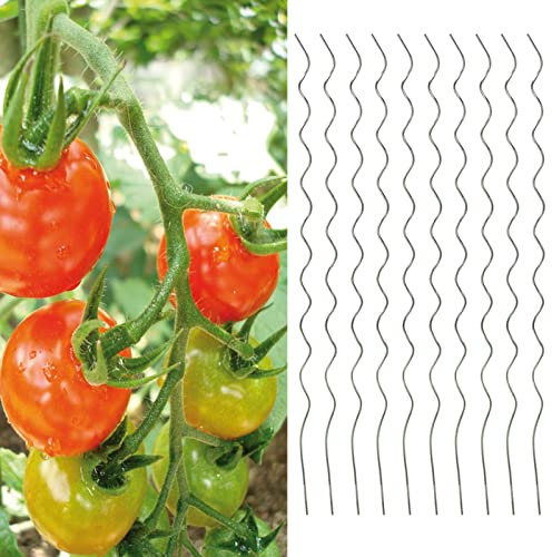 10 Stück Tomatenspiralstäbe Rankhilfe 110 cm Tomaten Pflanzstäbe Spiralstäbe aus verzinktem Stahl Rankspirale Tomatenstäbe Rankstäbe