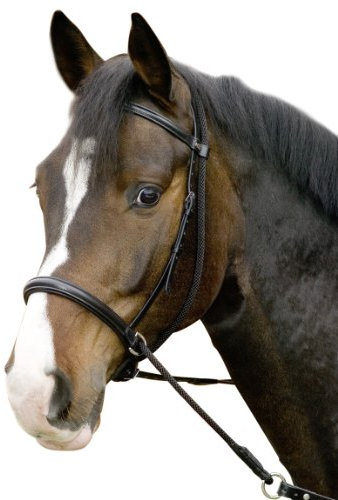 Gebisslose Trense ''Connection''