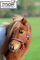 Glitzer Halfter Knallrot ROT Bling w.Strass Nylon MS S P VB WB Extra Full Tysons ! (Minishetty)
