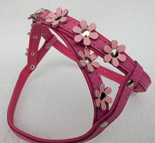 HUNDELEINE (120cm) + Geschirr (40-46cm)- *Blümchen* Echt Leder Rossa-PINK (6-82)