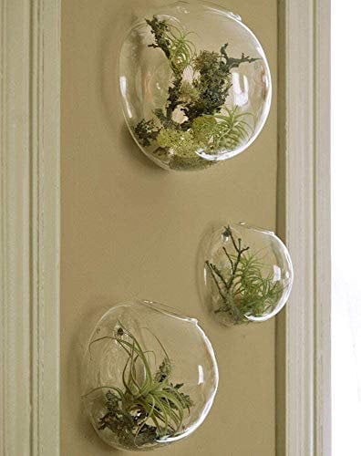 Mixed Set of 3 Bubble Terrariums - Clear Glass Vase Hanging Wall Planters for Indoor Plants, Succulents, Air Plants