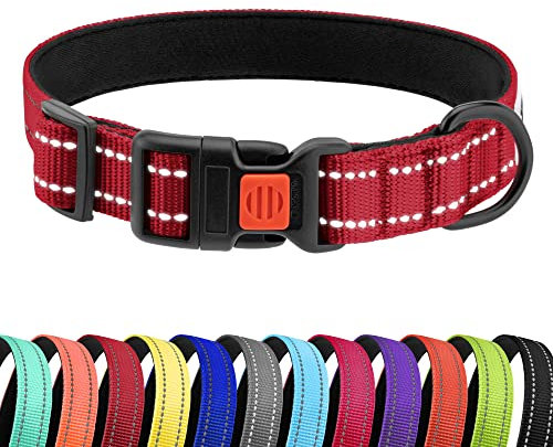 CollarDirect Reflektierendes Hundehalsband für kleinen, mittelgroßen, großen Hund, Welpen mit Schnellverschluss, Hündin, Rüde, 48 Sorten, Nylon Wasserfest