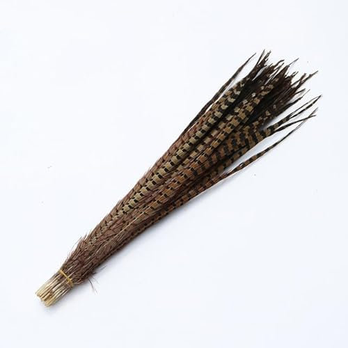 Natürliche 35–70 cm Fasanenschwanzfedern, lange Größen, Ringhalsfedern zum Basteln, Hahnenfasan, Karneval, Plumas-Dekorationen, 55,9–61 cm, 500 Stück