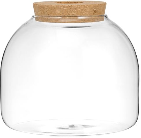 Toddmomy 1pc Glass Terrarium Jar with Wood Stopper Hydroponic Plants Container Terrarium Glass Containers