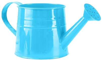 AKTOUR Bollitore per doccia in latta per annaffiare, piccolo vaso per fiori, annaffiatoio con luci (H, taglia unica)